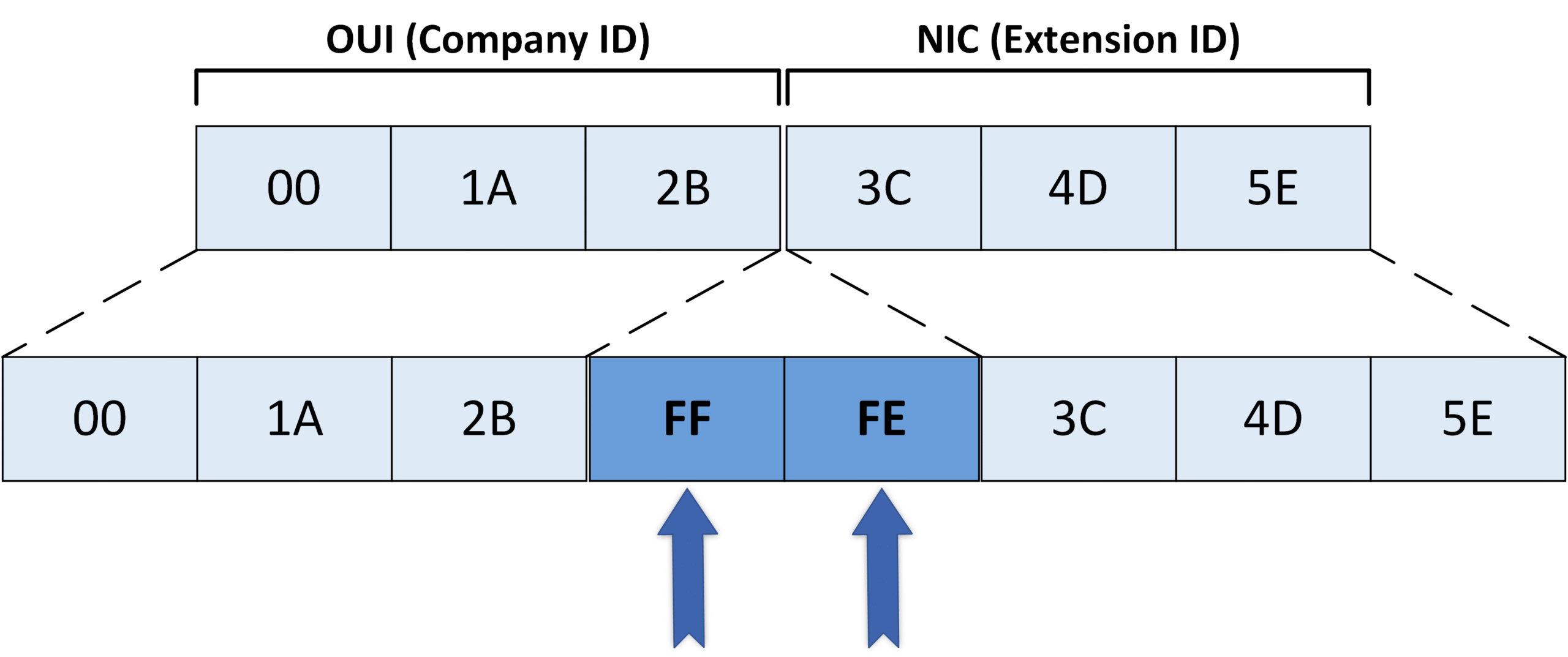 EUI-64 step inserting FFFE into the MAC address to create a 64-bit IPv6 interface identifier, part of what is EUI 64 process
